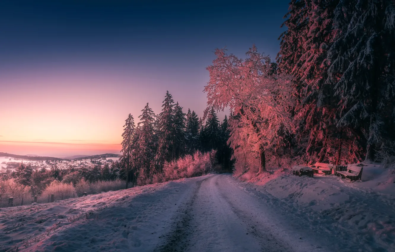 Photo wallpaper winter, forest, snow, sunset, bench