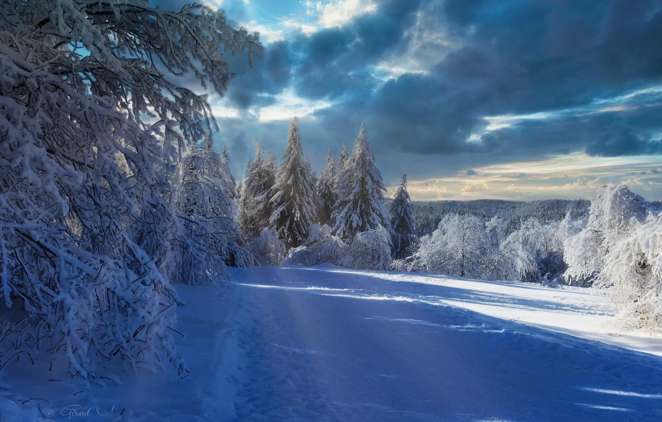 Photo wallpaper winter, road, forest, snow, trees, France, France, Alsace