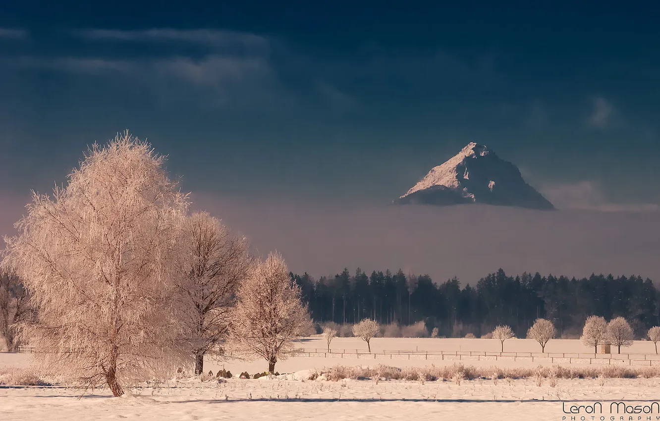 Photo wallpaper winter, frost, forest, mountains