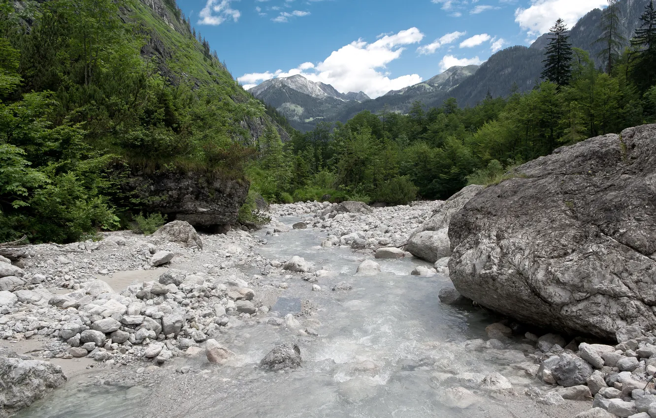 Photo wallpaper forest, mountains, river, stones, stream