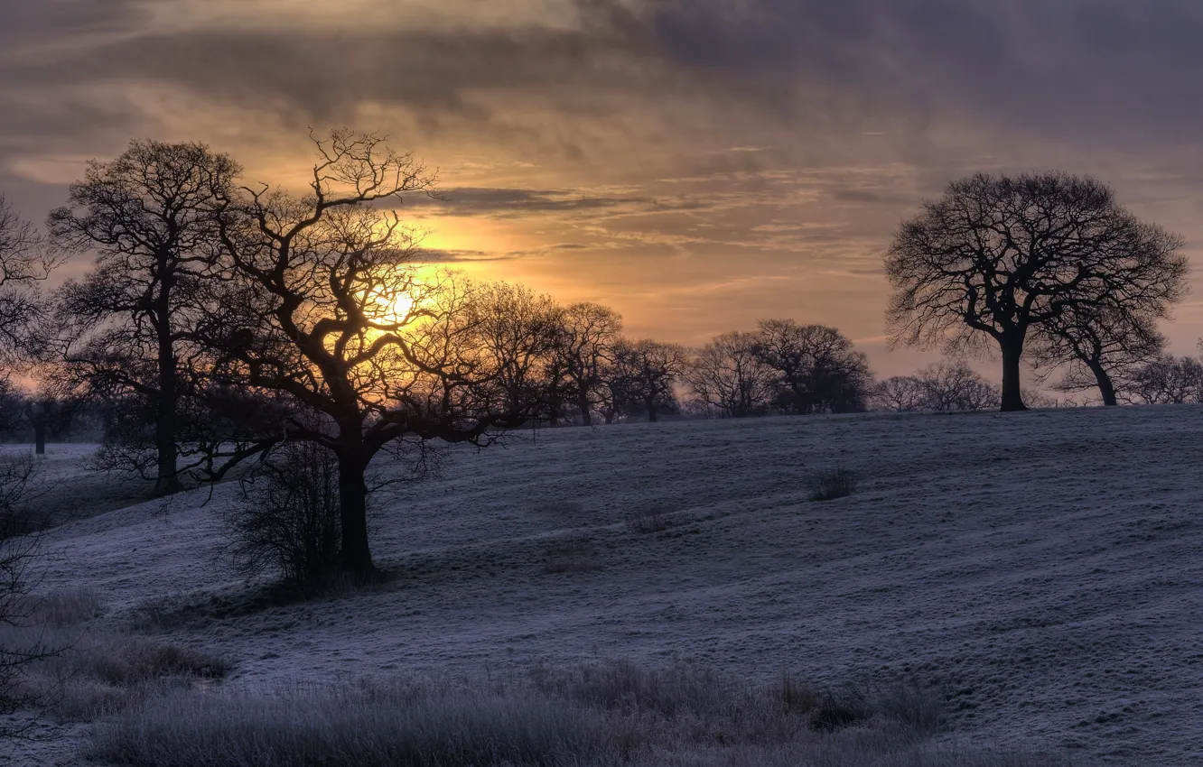 Photo wallpaper sunrise, cheshire, silhouette, reflections, canal, Bunbury