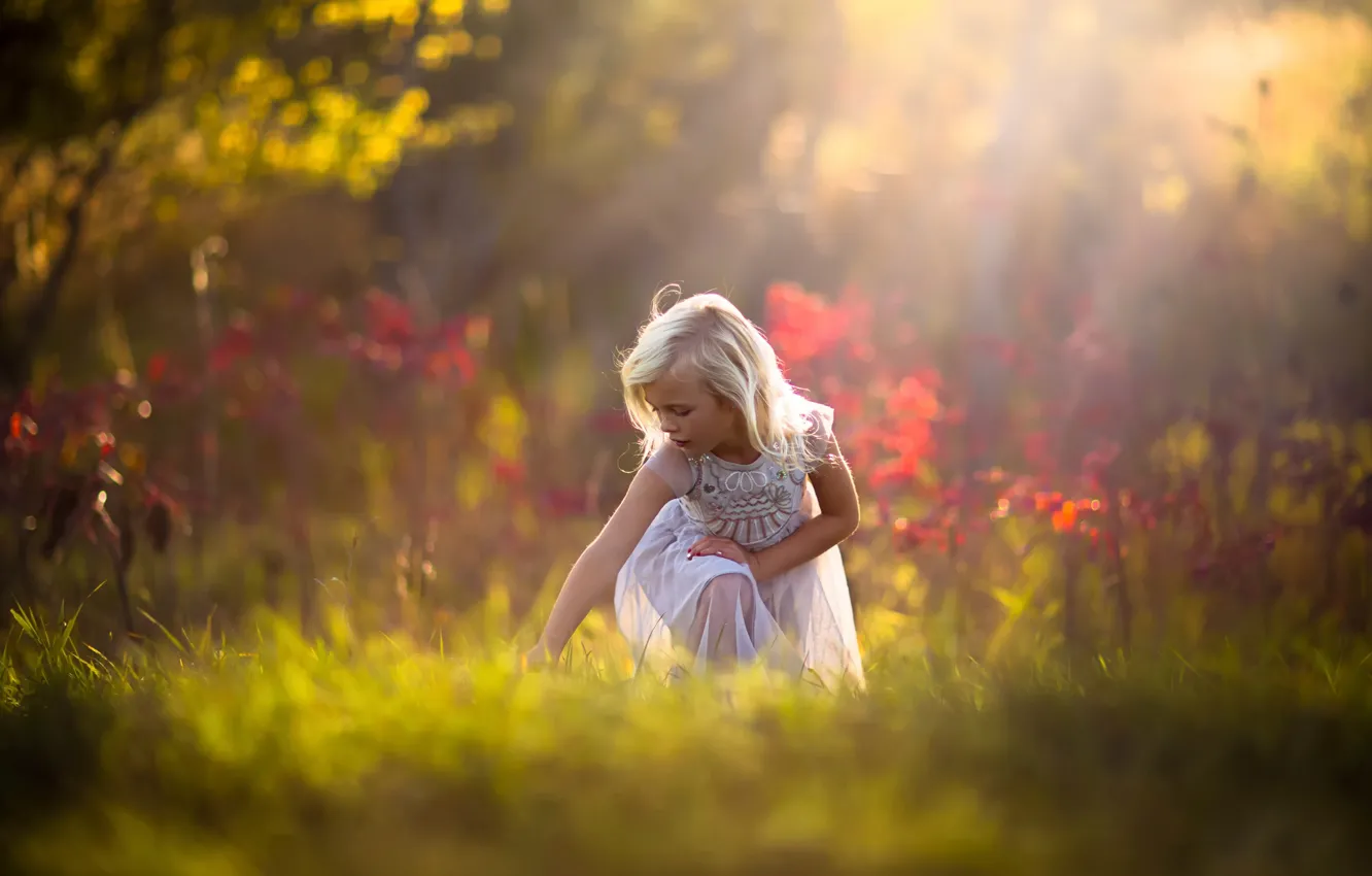 Photo wallpaper autumn, forest, girl, blond