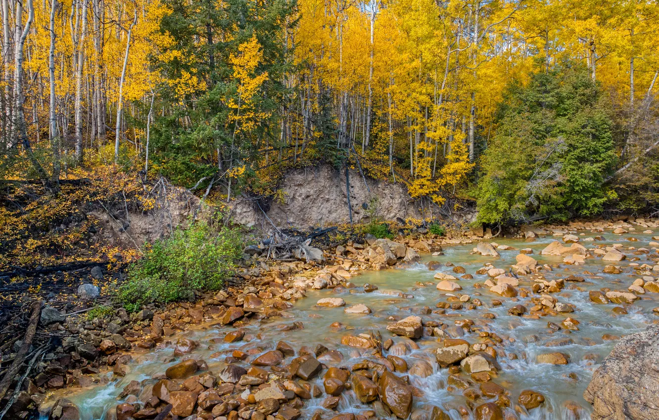 Photo wallpaper autumn, forest, stones, river