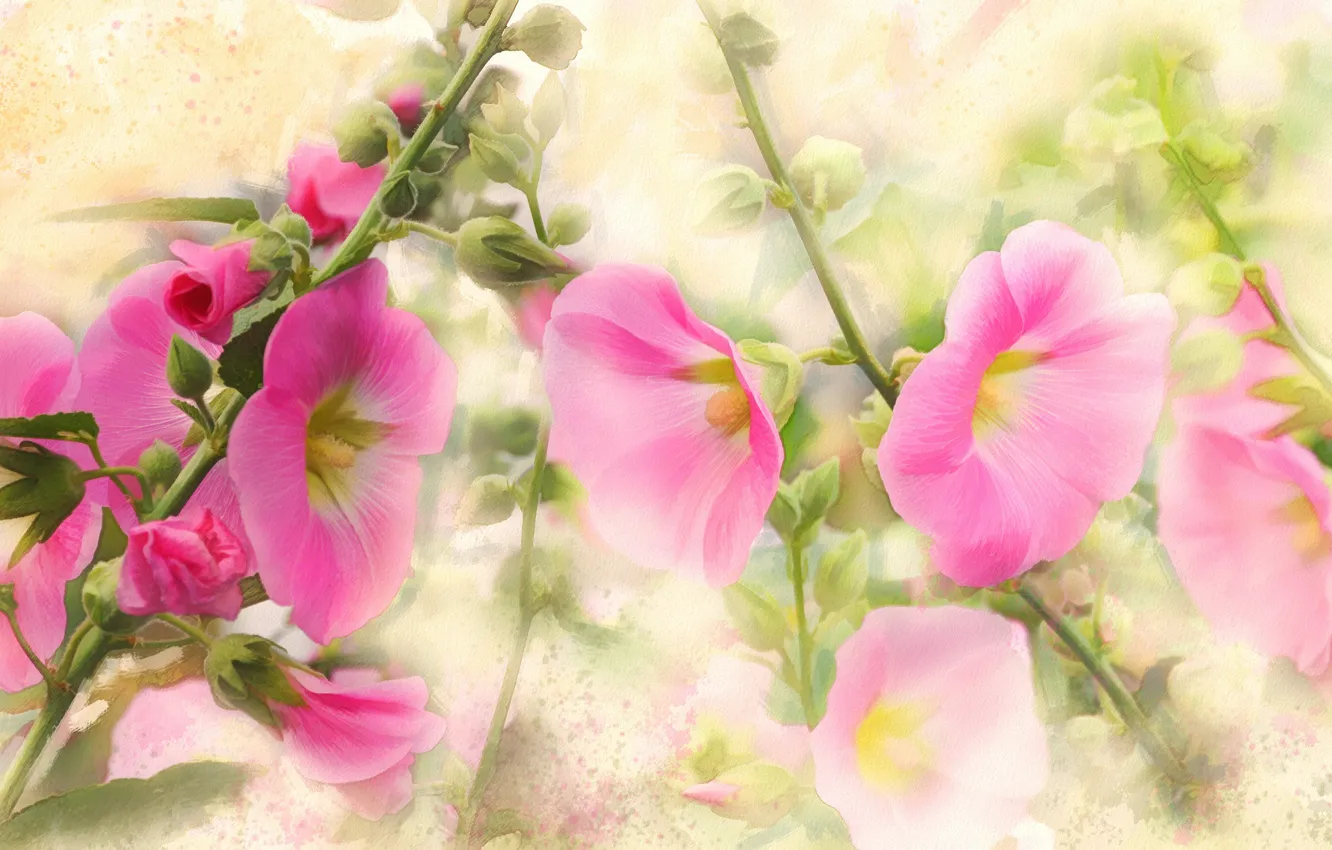 Photo wallpaper flowers, figure, graphics, treatment, picture, garden, art, pink