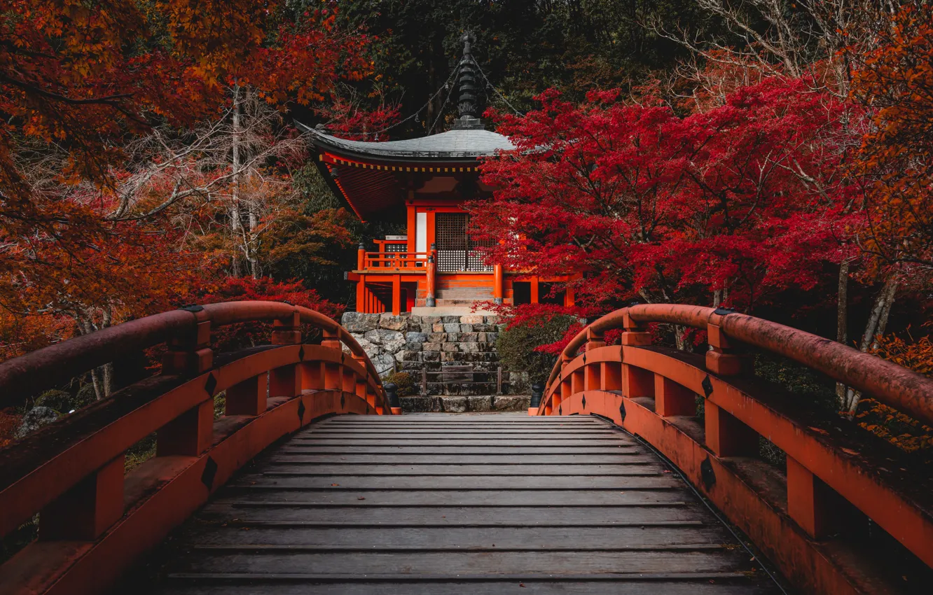 Photo wallpaper autumn, trees, bridge, Park, thickets, shore, foliage, Asia