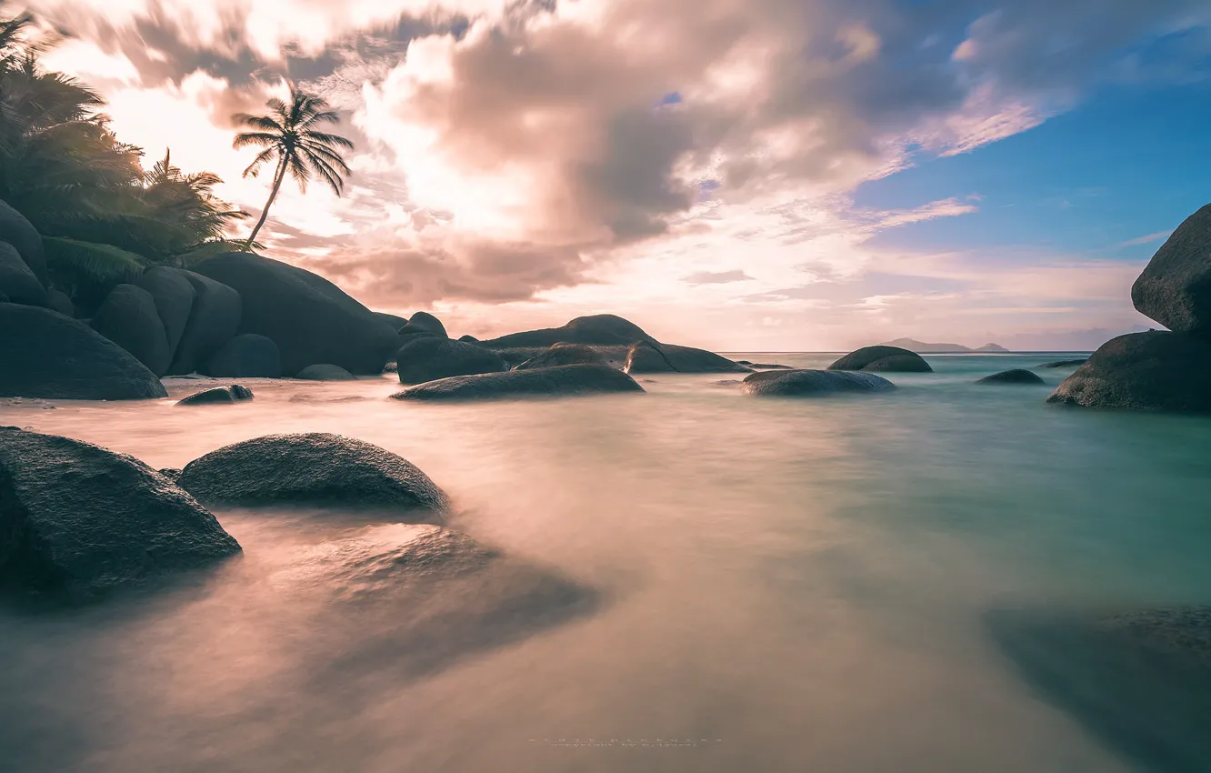 Photo wallpaper sand, sea, stones, palm trees, coast