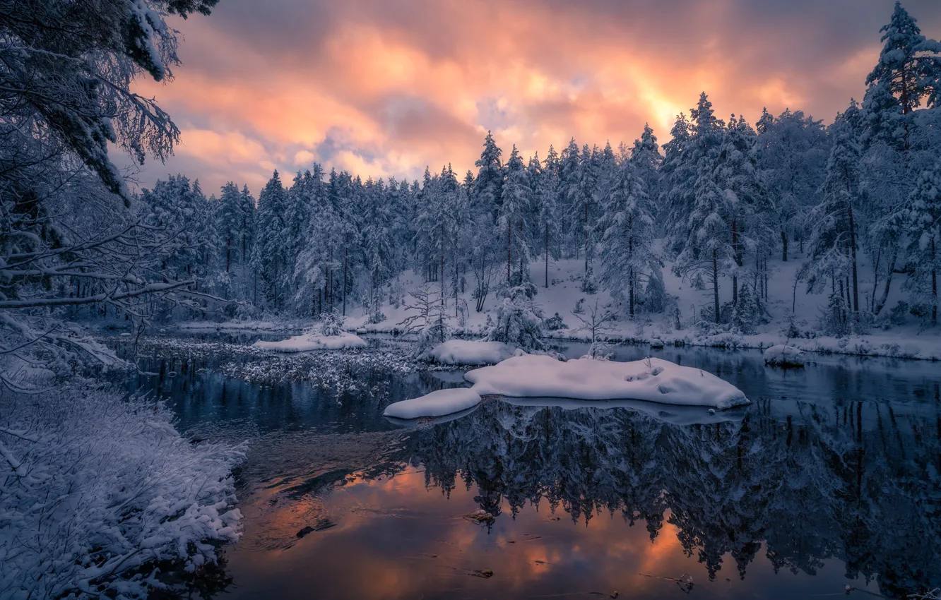 Photo wallpaper winter, forest, snow, trees, sunset, reflection, river, Norway