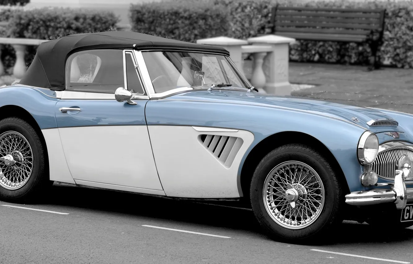 Photo wallpaper Roadster, Sports car, Austin-Healey 3000