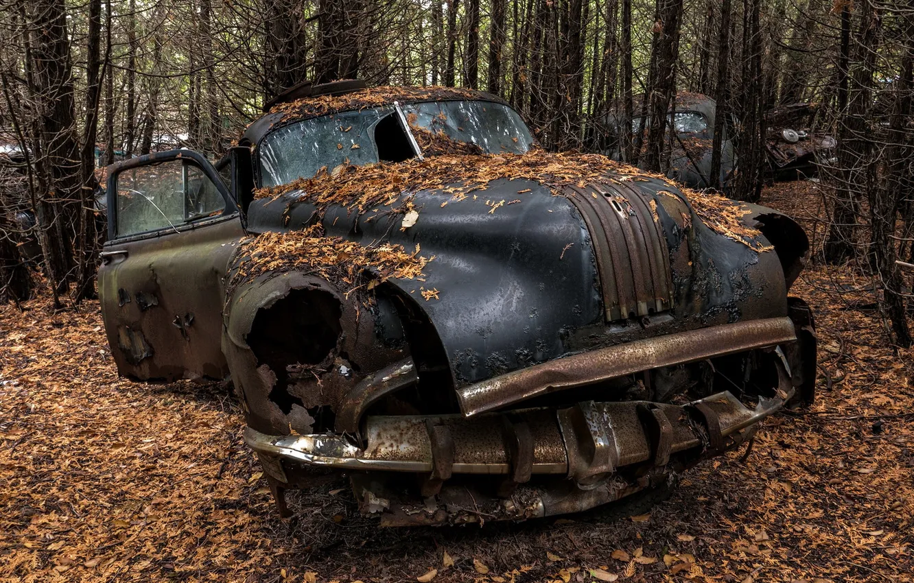 Photo wallpaper machine, background, scrap