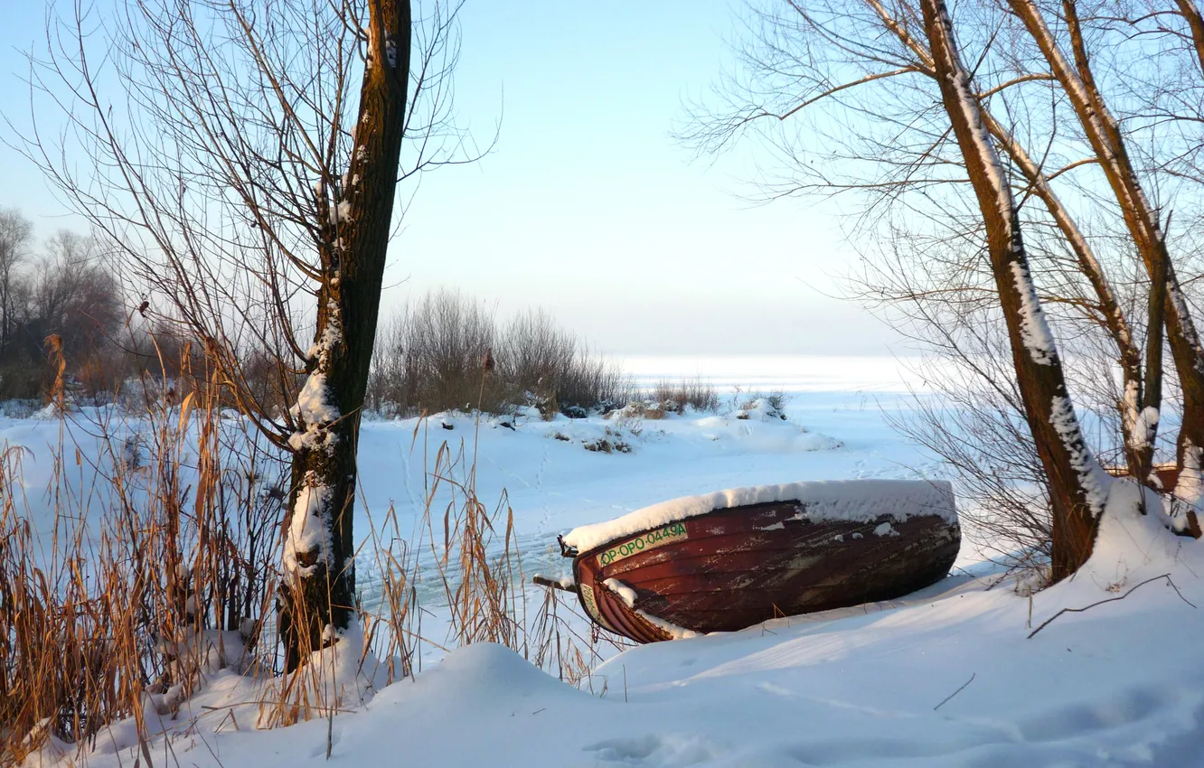 Photo wallpaper winter, the sky, snow, trees, boat