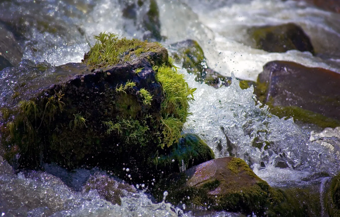 Photo wallpaper water, drops, landscape, squirt, nature, stones, moss