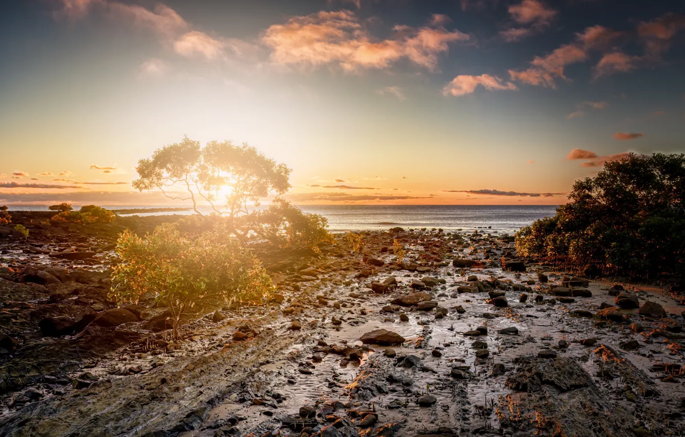 Photo wallpaper sea, the sky, the sun, clouds, light, trees, stones, dawn