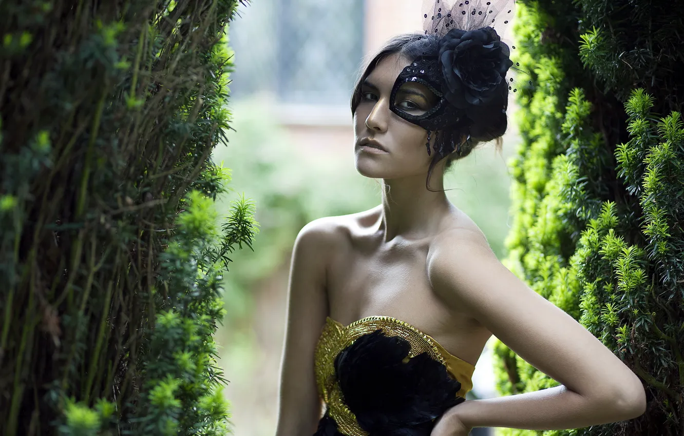 Photo wallpaper girl, background, mask