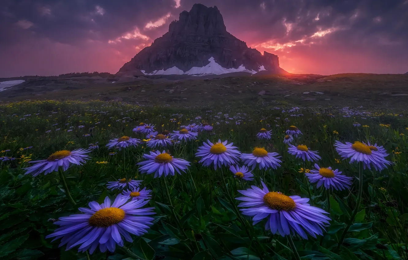 Photo wallpaper field, the sky, sunset, flowers, mountains, rocks, meadow, lilac