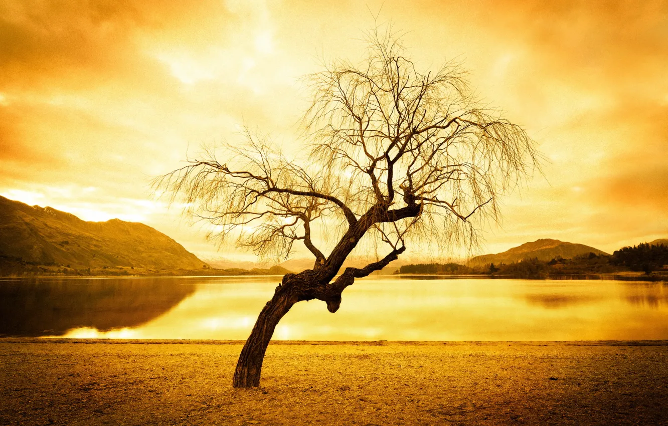 Photo wallpaper landscape, lake, style, tree
