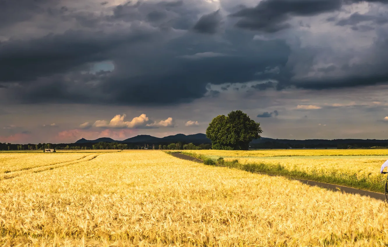 Photo wallpaper field, summer, the sky, trees, mountains, clouds, tree, people