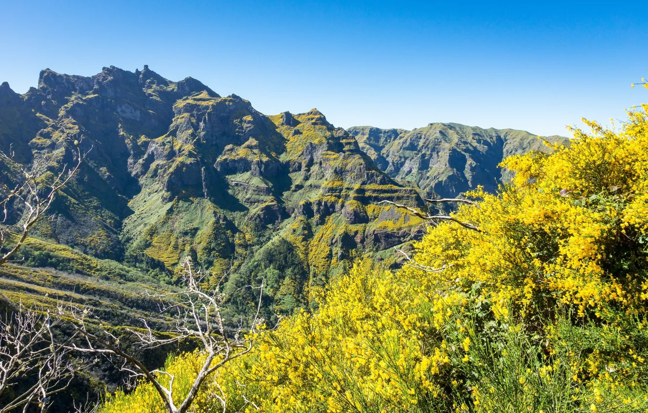 Photo wallpaper the sky, mountains, Yellow trees