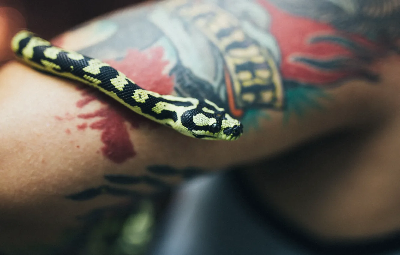 Photo wallpaper hand, snake, scales, tattoo