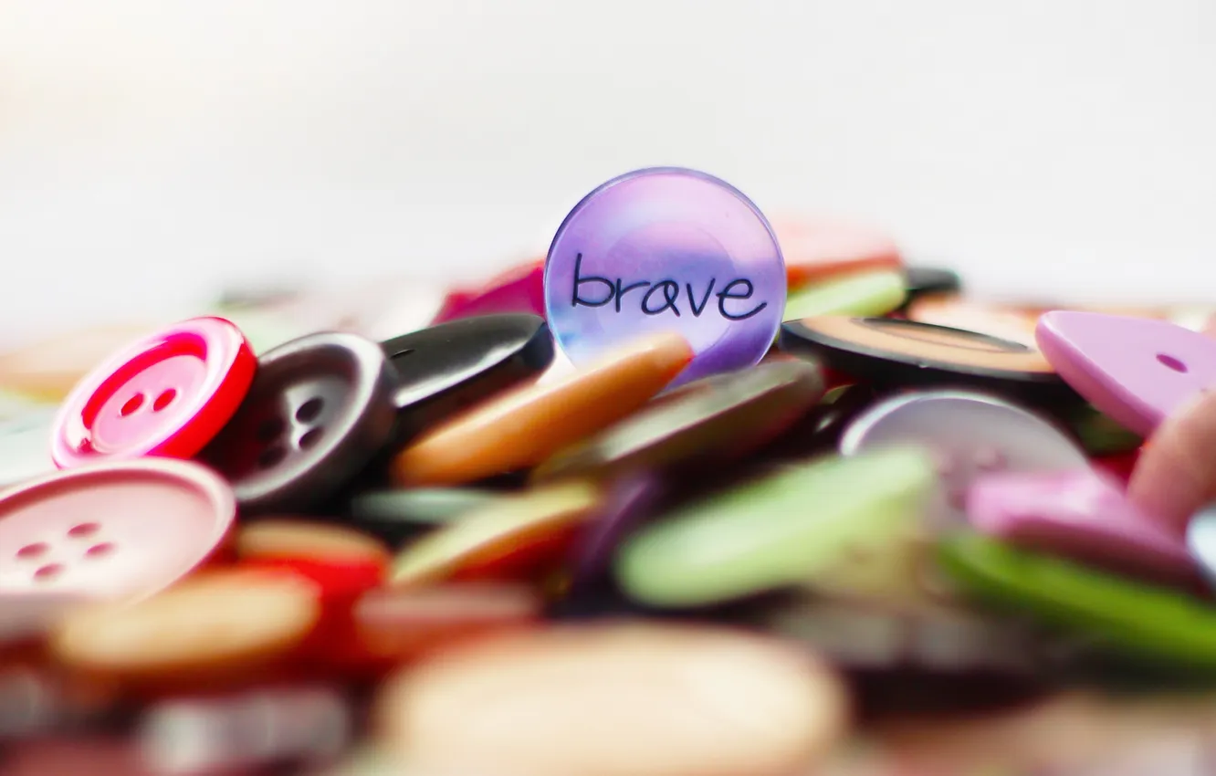 Photo wallpaper macro, background, buttons