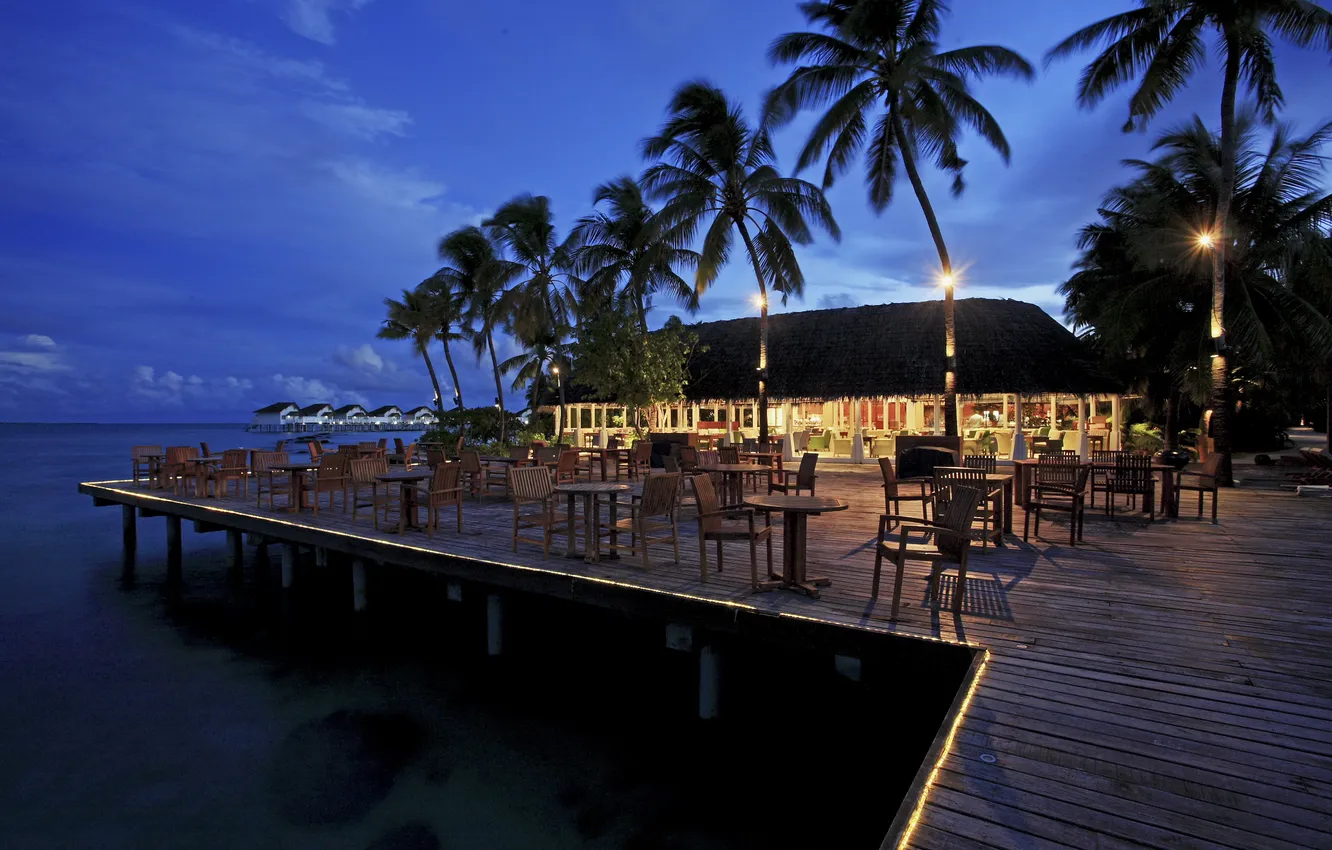 Photo wallpaper palm trees, the ocean, the evening, restaurant