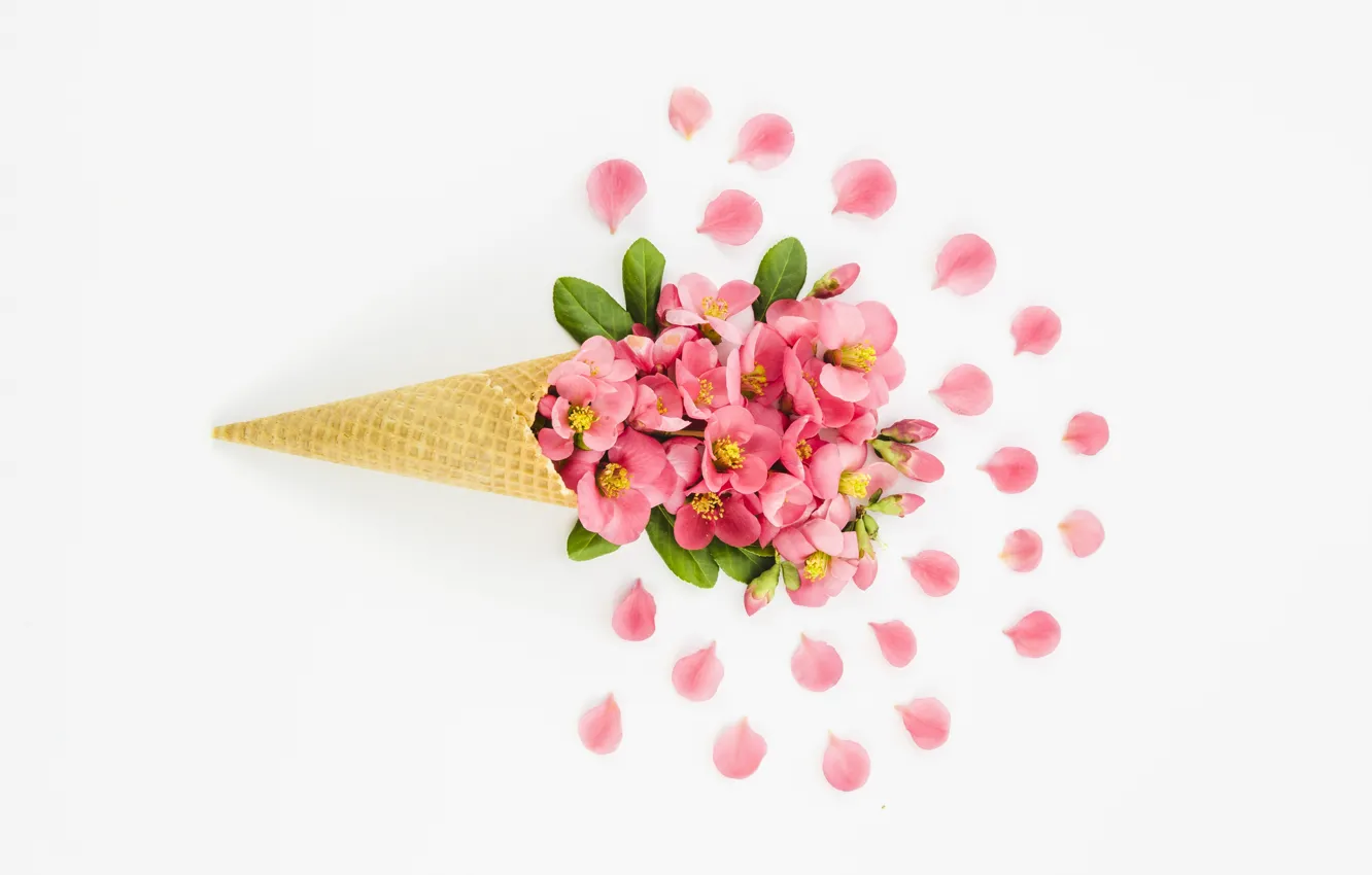 Photo wallpaper waffle, white background, horn, flowers