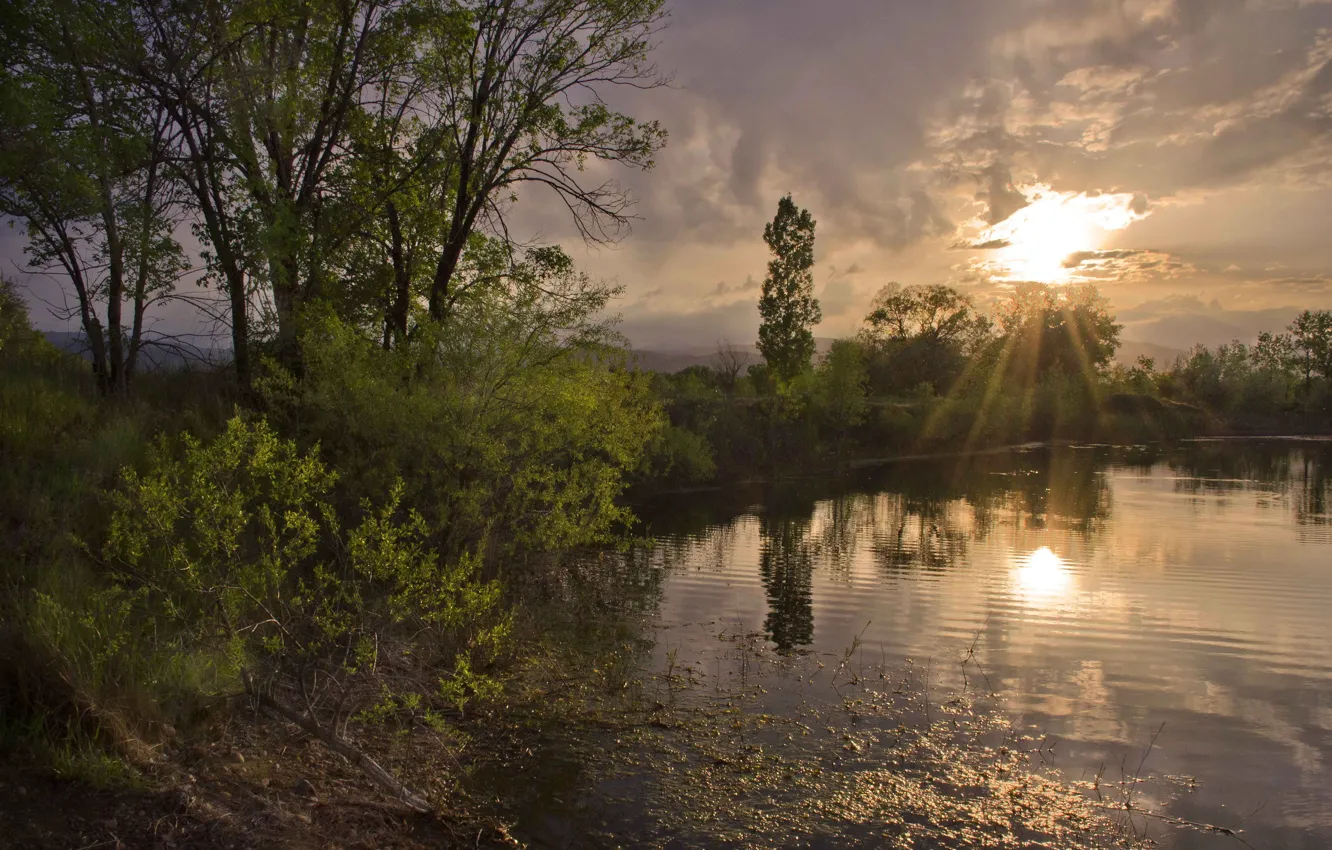 Photo wallpaper the sun, rays, trees, clouds, lake, calm, the evening