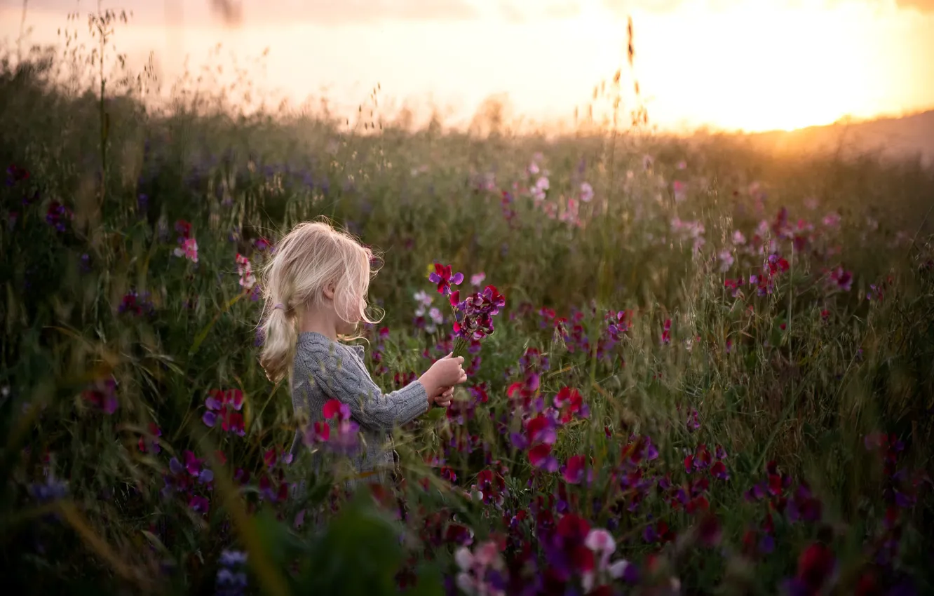 Photo wallpaper field, flowers, nature, mood, morning, girl