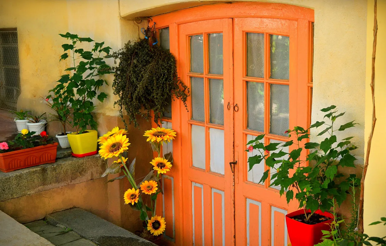 Photo wallpaper Flowers, The door, Plants, Yard, Pots