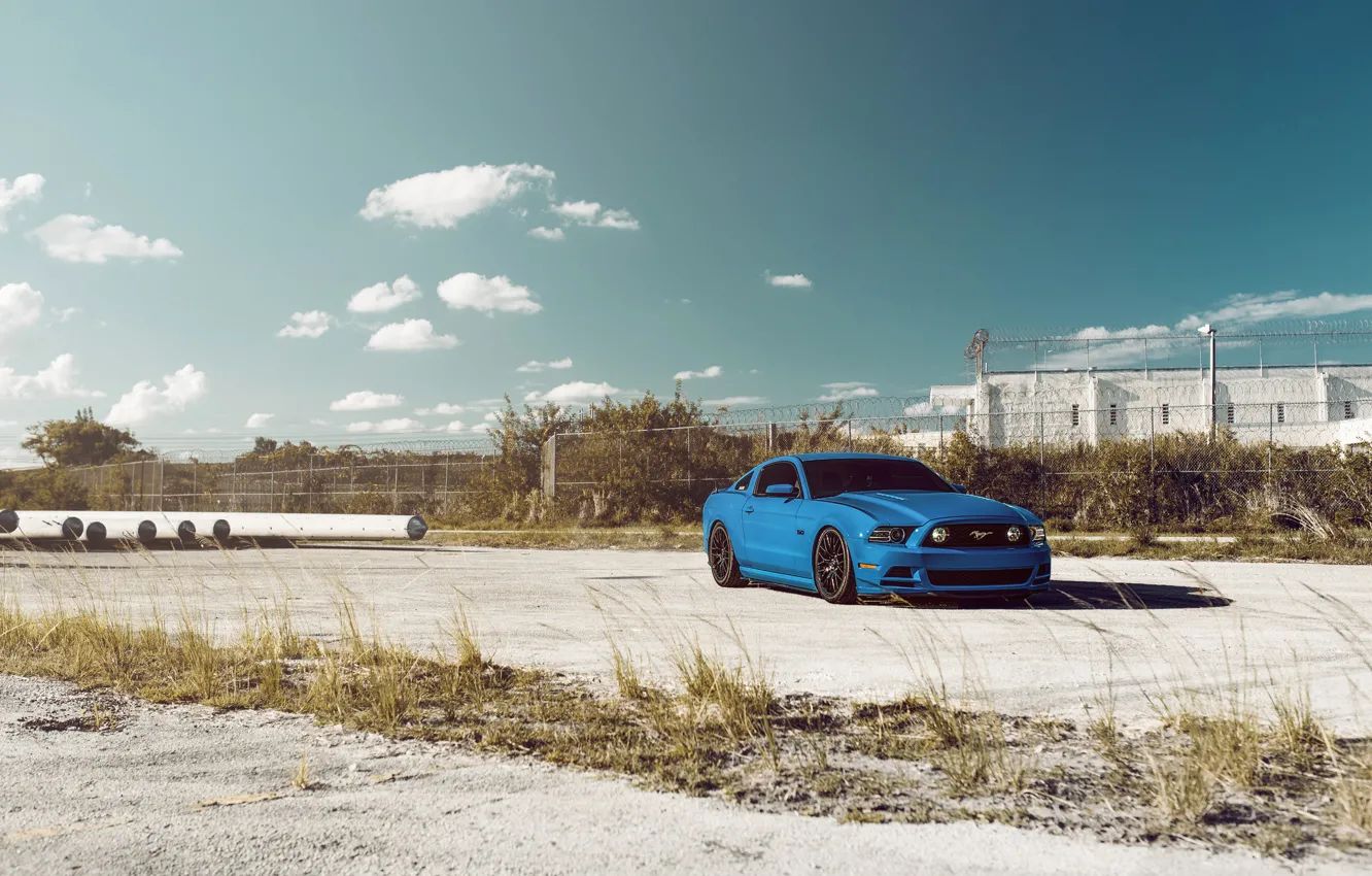 Photo wallpaper Mustang, Ford, Muscle, Car, Sky, Blue, Front, 5.0