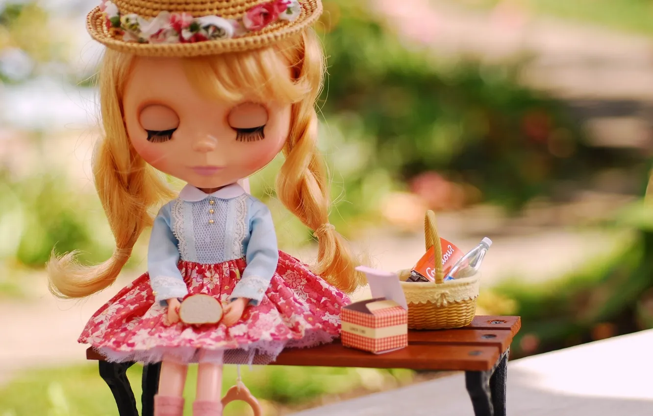 Photo wallpaper bench, toy, doll, Breakfast, braids, hat
