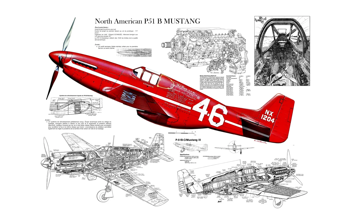 Photo wallpaper design, Mustang, scheme, fighter, North American, P-51B