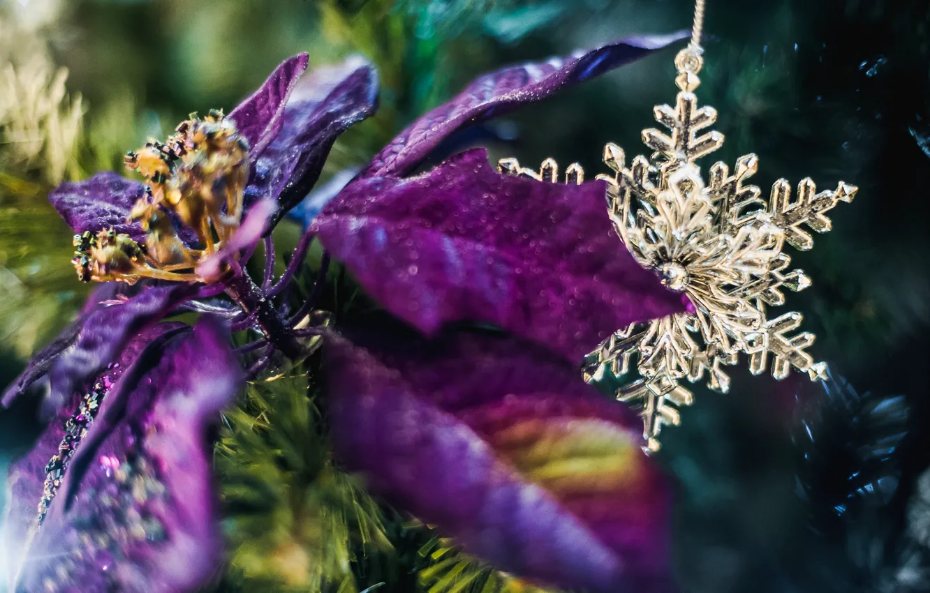 Photo wallpaper flower, decoration, tree, New Year, bokeh
