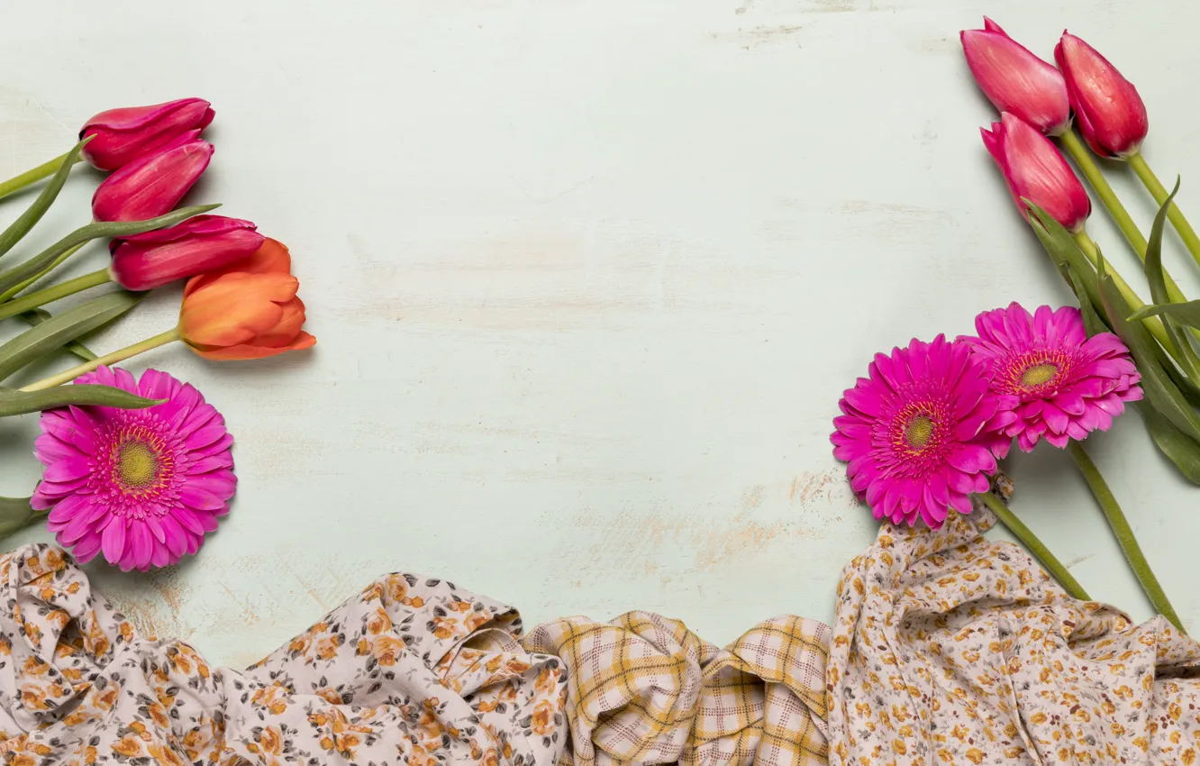 Photo wallpaper flowers, tulips, gerbera, pink, flowers, tulips, bright, gerbera
