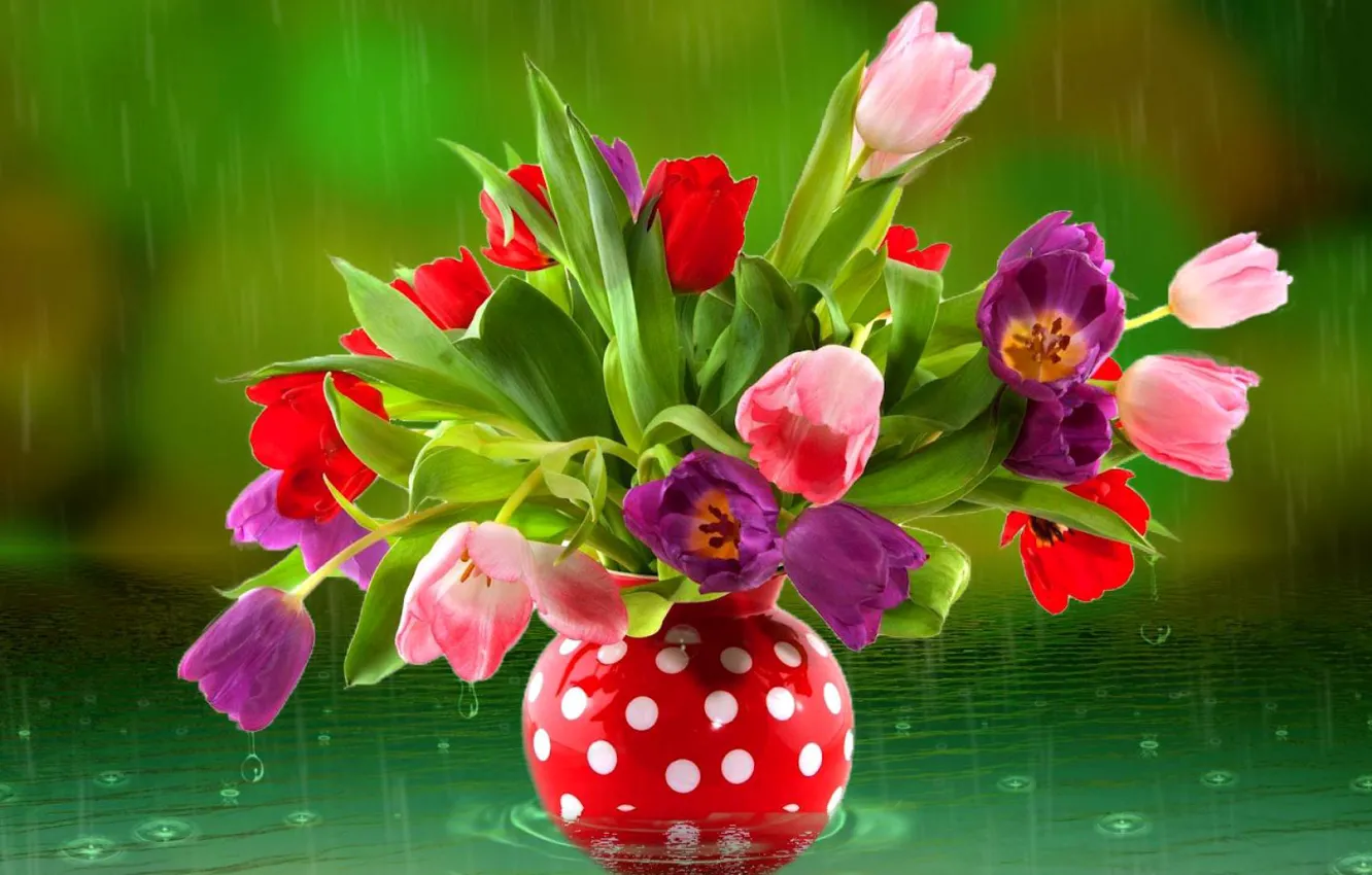 Photo wallpaper water, drops, rain, bouquet, tulips, vase