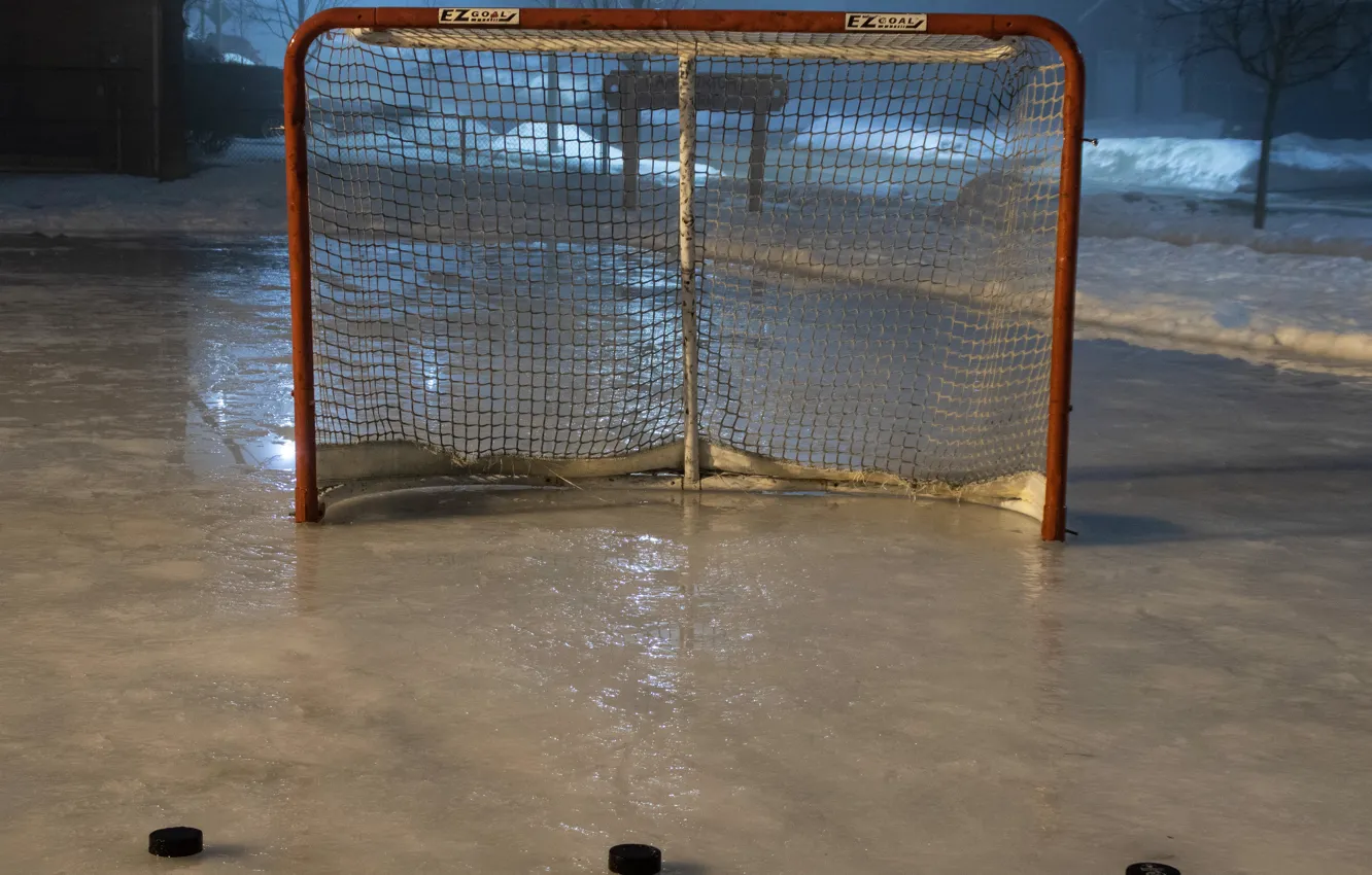 Photo wallpaper gate, hockey, washer