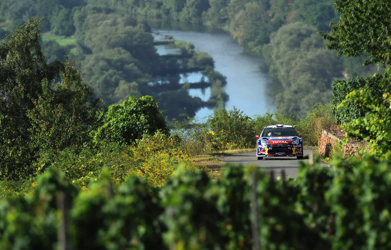 Photo wallpaper road, greens, machine, auto, river, sport, Citroen, Citroen