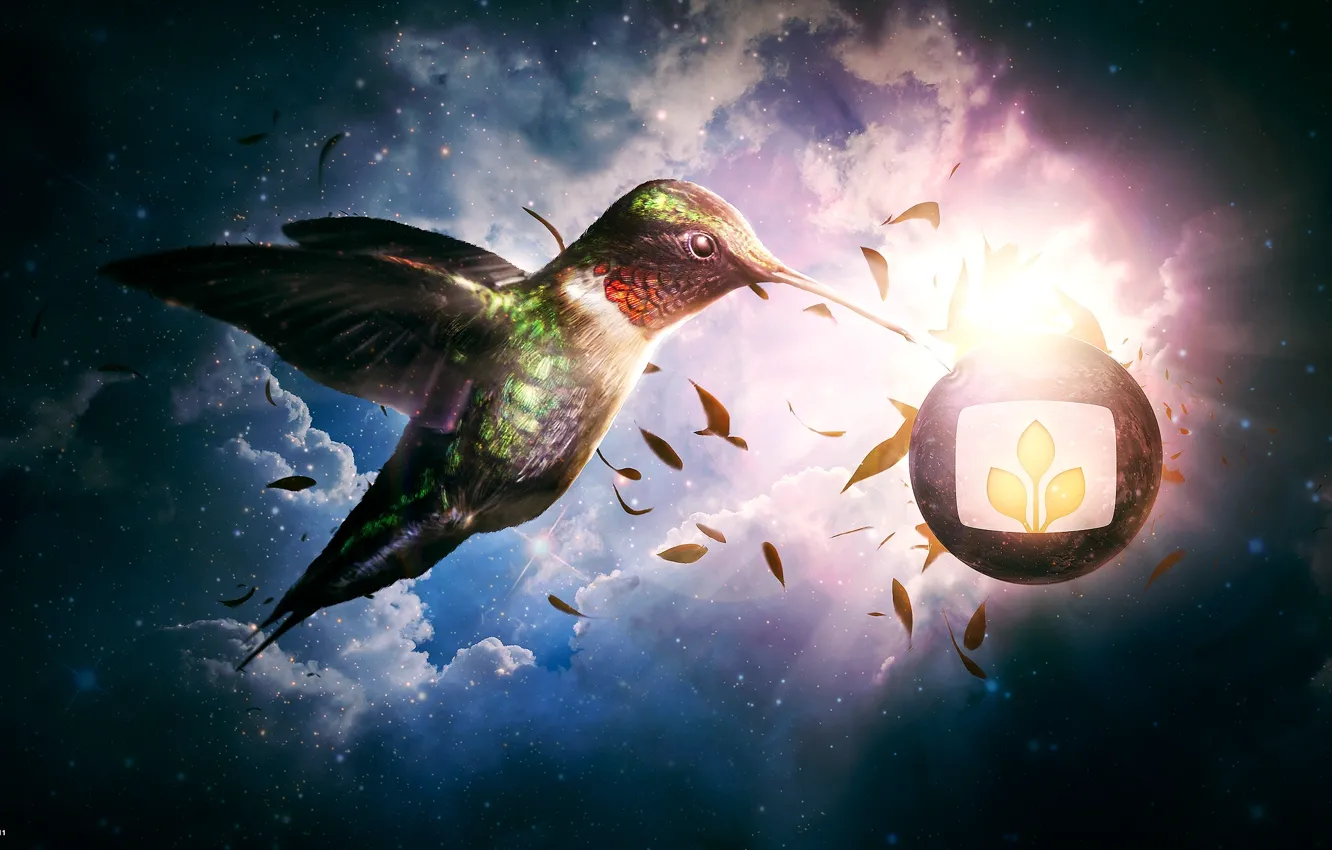 Photo wallpaper the sky, clouds, lights, bird, petals, emblem, desktopography