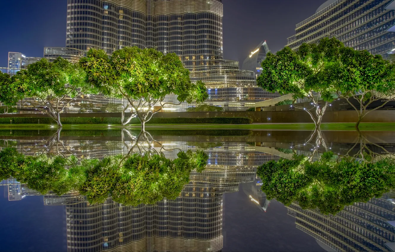 Photo wallpaper trees, reflection, home, pool, Dubai, UAE