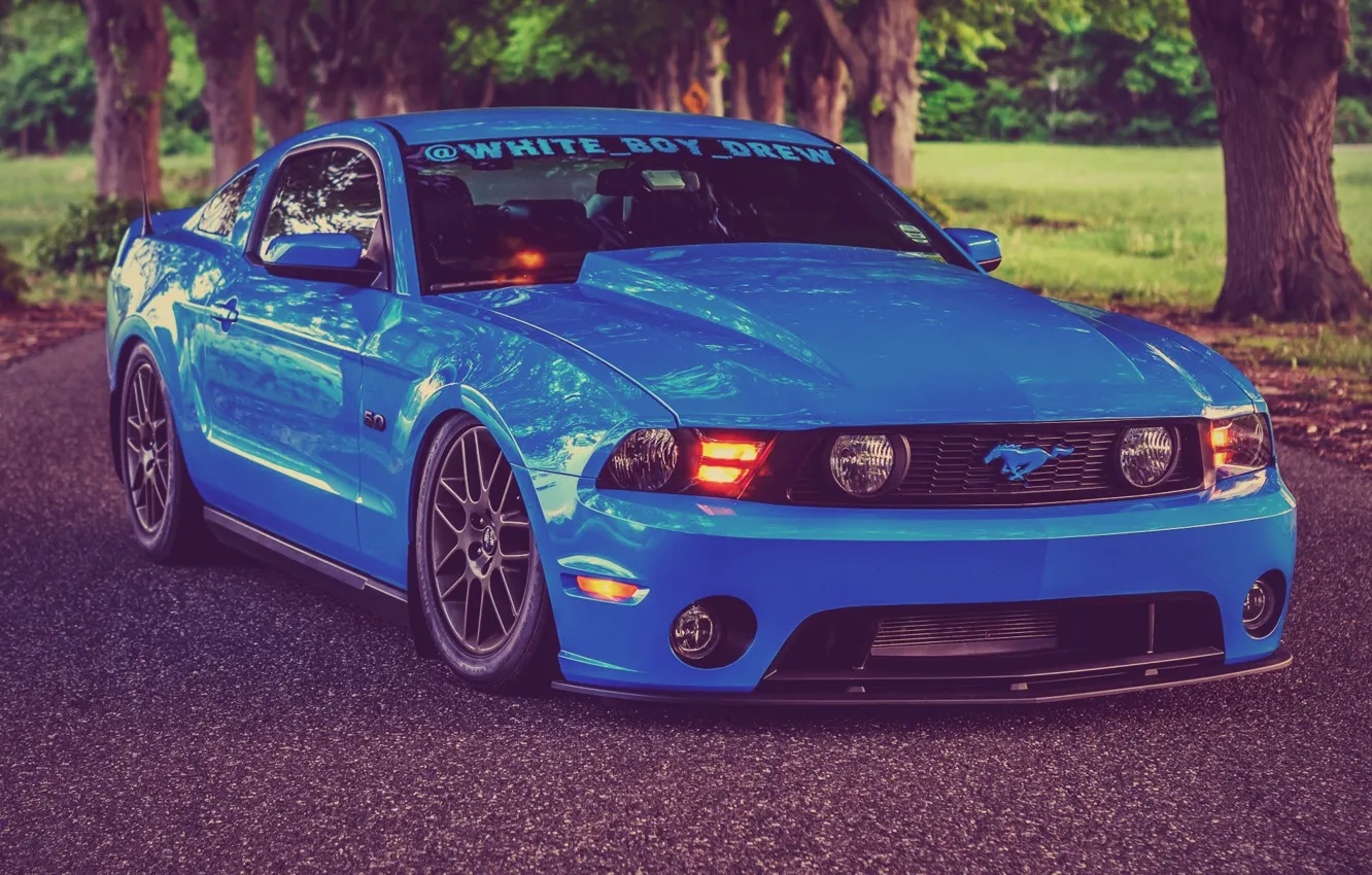 Photo wallpaper Mustang, Ford, Road, Blue, Ford, Muscle, Mustang, Car