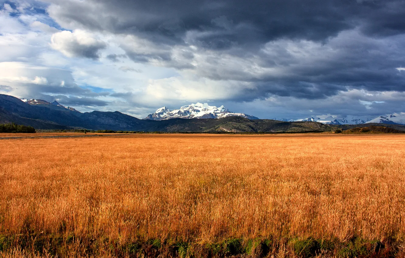 Photo wallpaper the sky, grass, clouds, snow, mountains, clouds, tops, dal