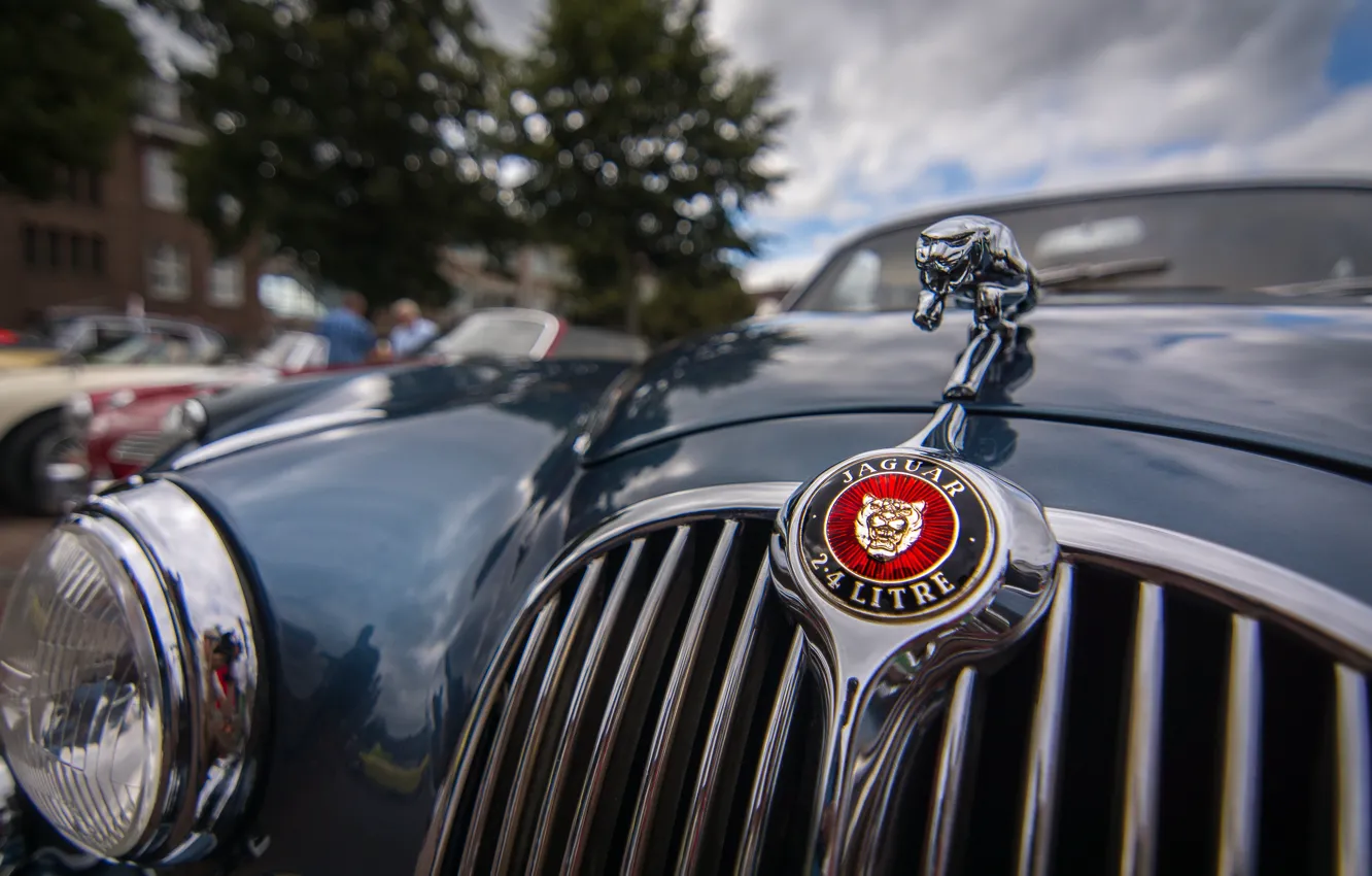 Photo wallpaper macro, Jaguar, headlight, the hood, grille