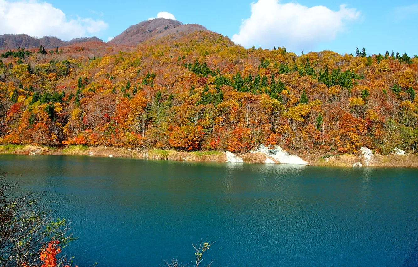 Photo wallpaper autumn, forest, the sky, trees, river, hills