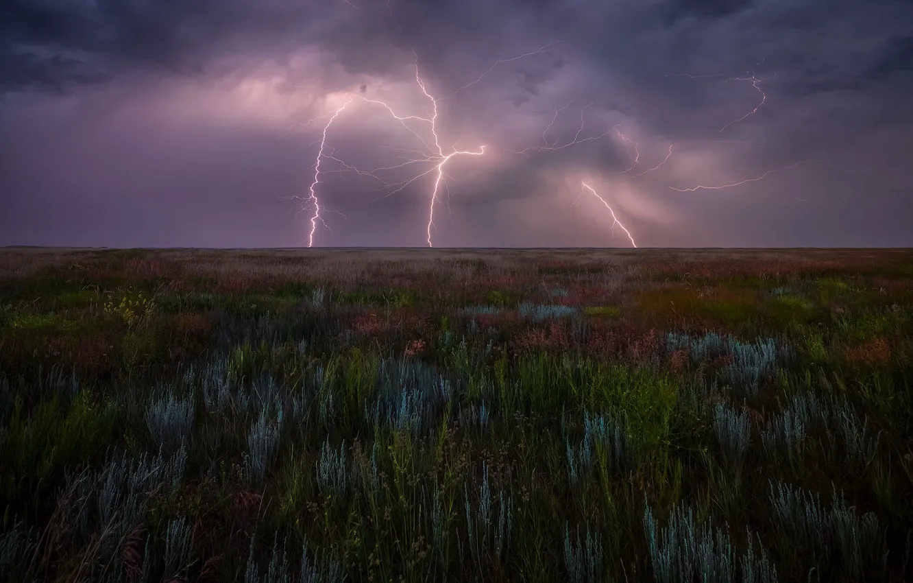 Photo wallpaper the storm, field, the sky, grass, clouds, vegetation, lightning, plant