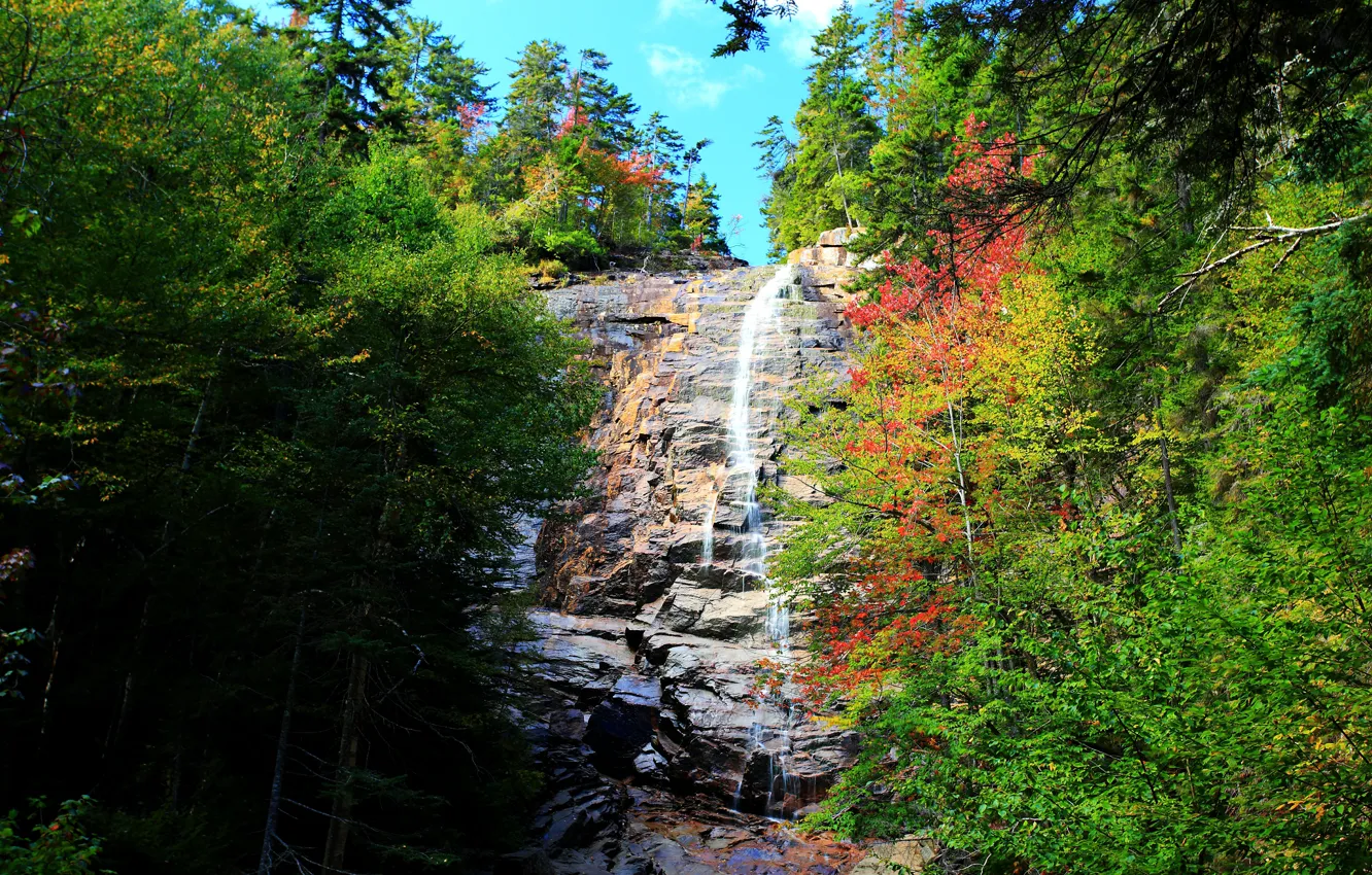 Photo wallpaper autumn, trees, nature, rocks, waterfall, colors, trees, nature