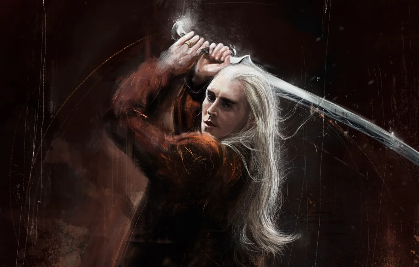 Photo wallpaper sword, art, The hobbit, Thranduil, King of the elves
