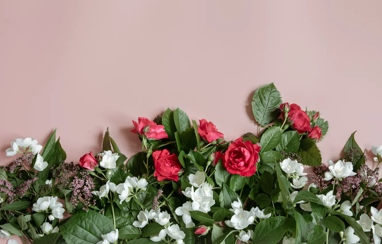 Photo wallpaper leaves, flowers, red, roses, bouquet, white, pink background, flowering