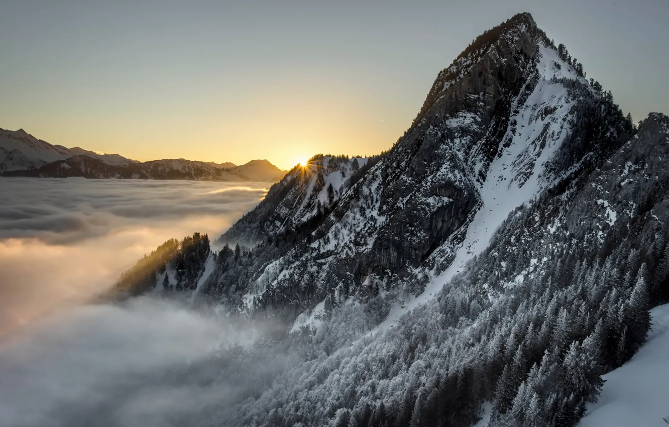 Photo wallpaper mountains, fog, morning