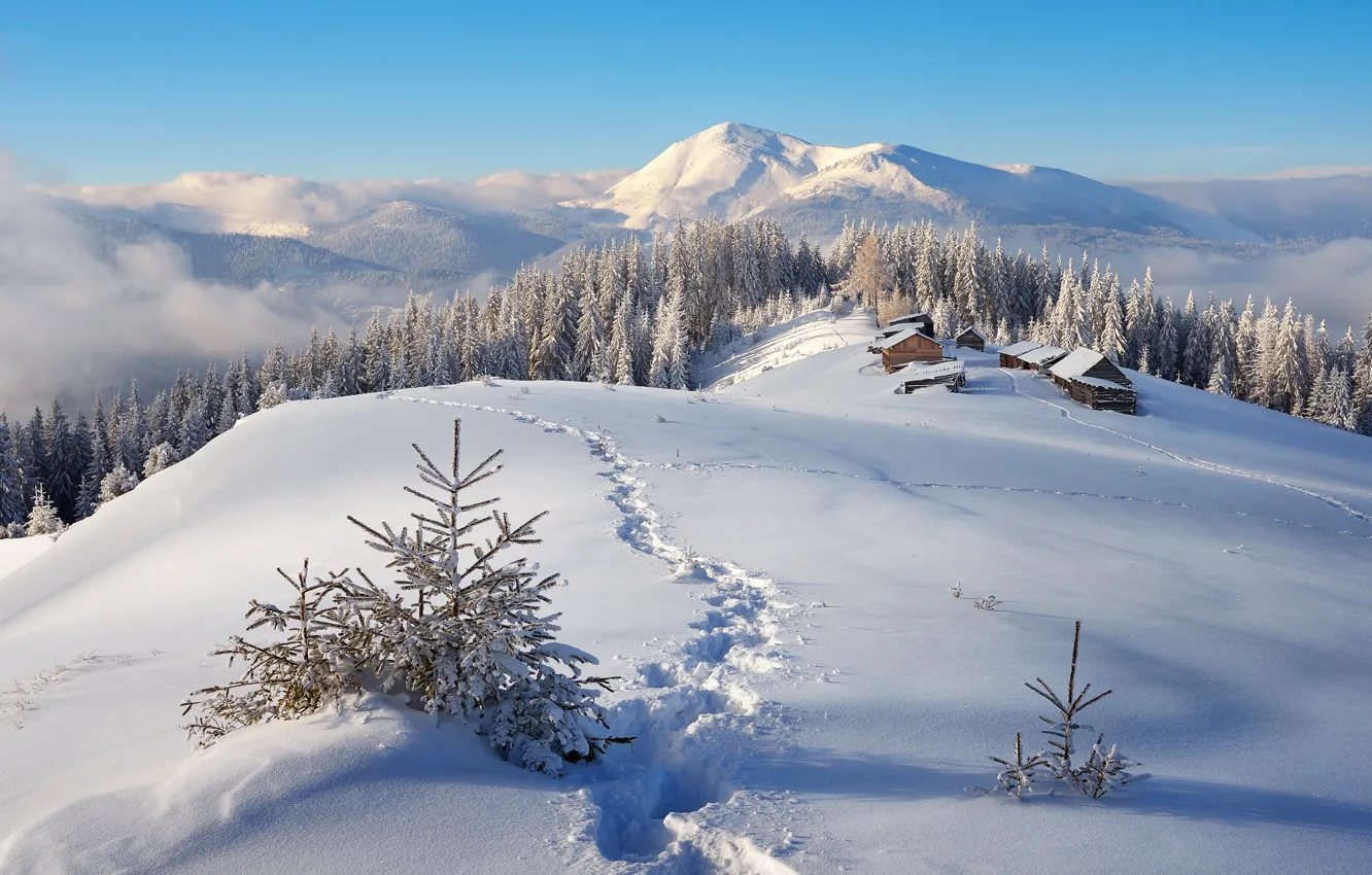 Photo wallpaper winter, forest, snow, landscape, mountains, nature, home