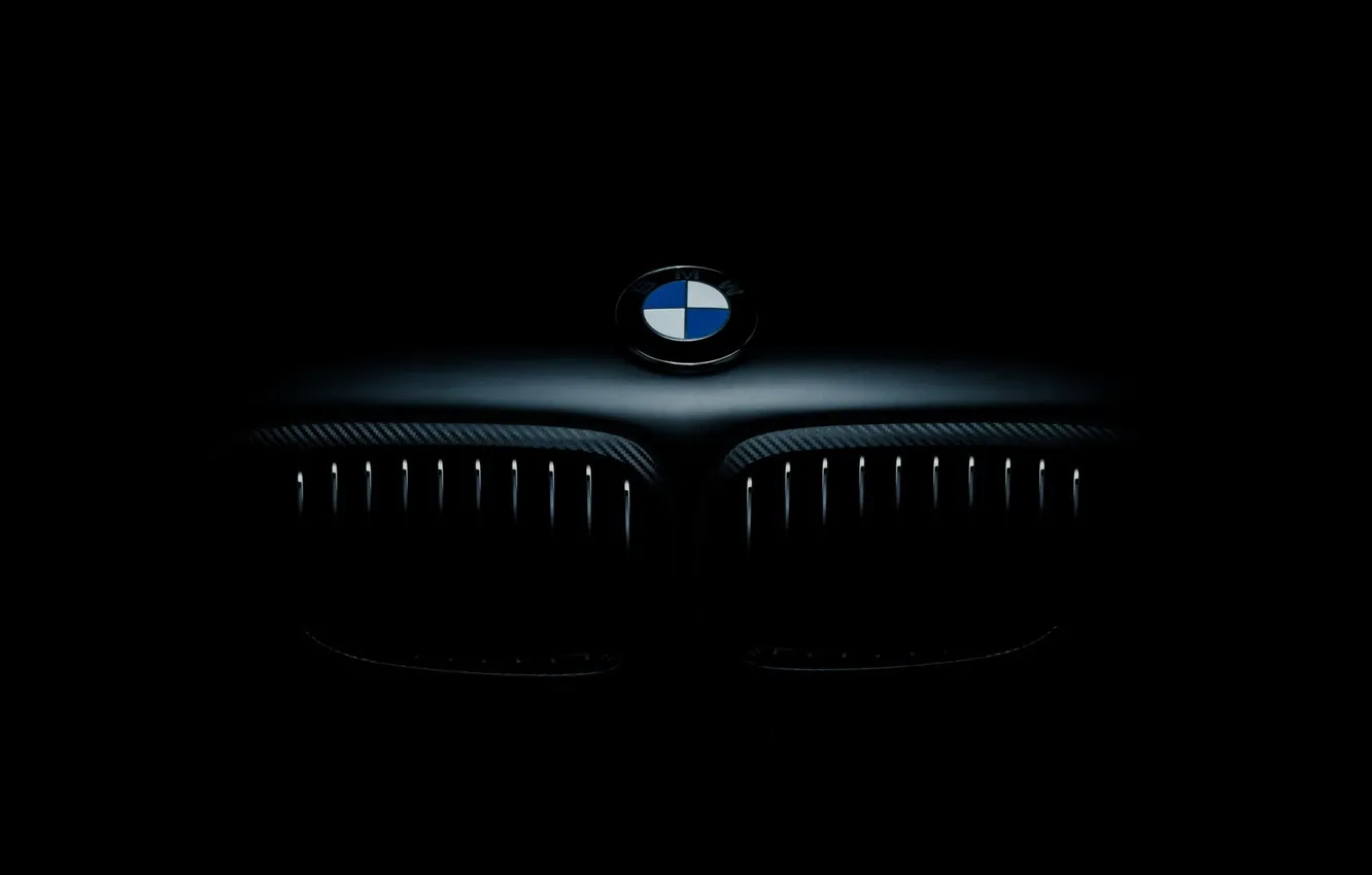 Photo wallpaper icon, BMW, the hood, BMW, front, E46, label, grille