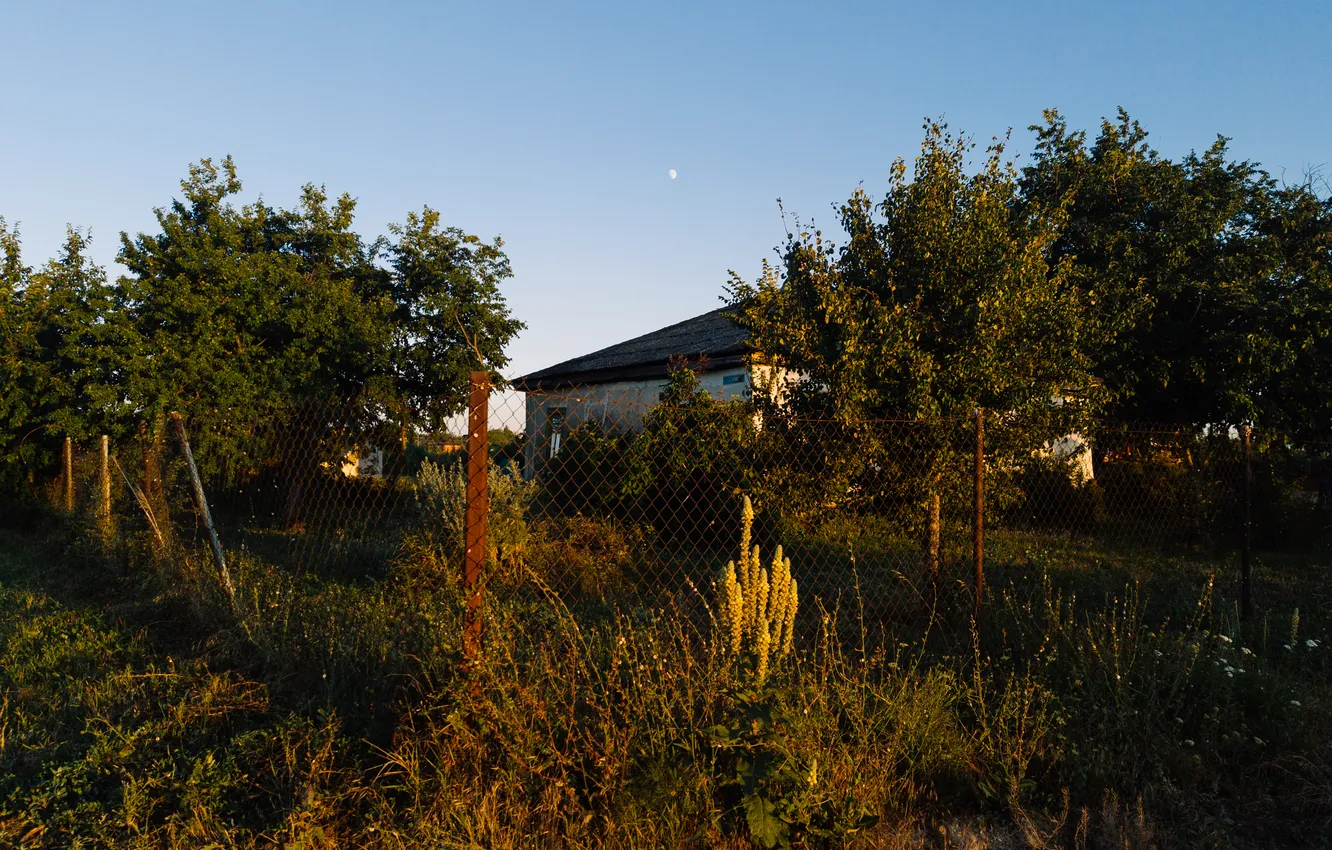 Photo wallpaper summer, the sky, trees, house, the moon, the fence, the building, the evening